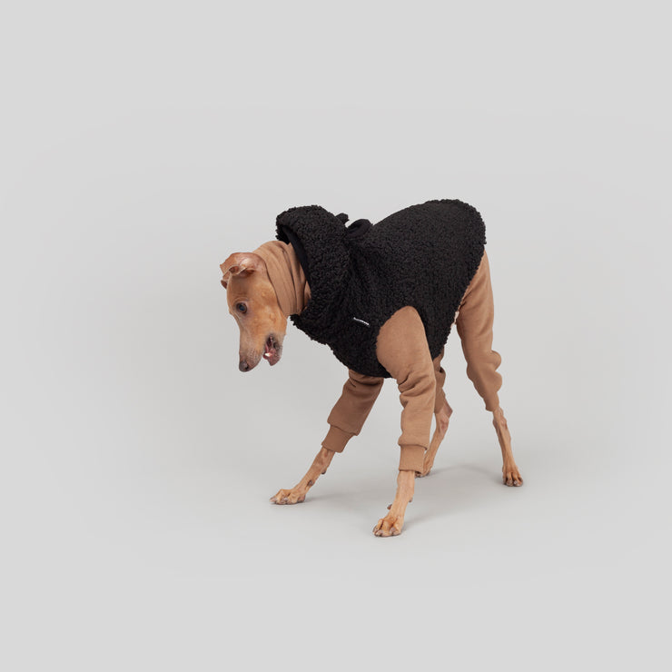 black teddy bear vest for italian greyhound
