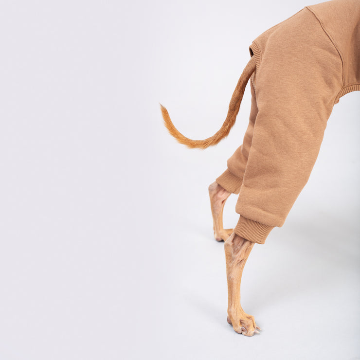 italian greyhound jumpsuit details
