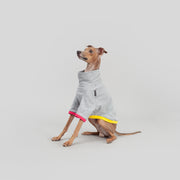 italian greyhound puppy shirt