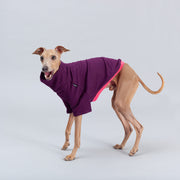 italian greyhound soft cotton clothing