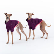 italian greyhound handmade outfits