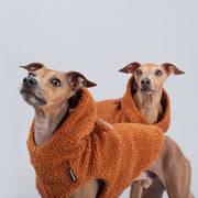 italian greyhound puppies clothing