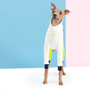 colorful italian greyhound jumpsuit