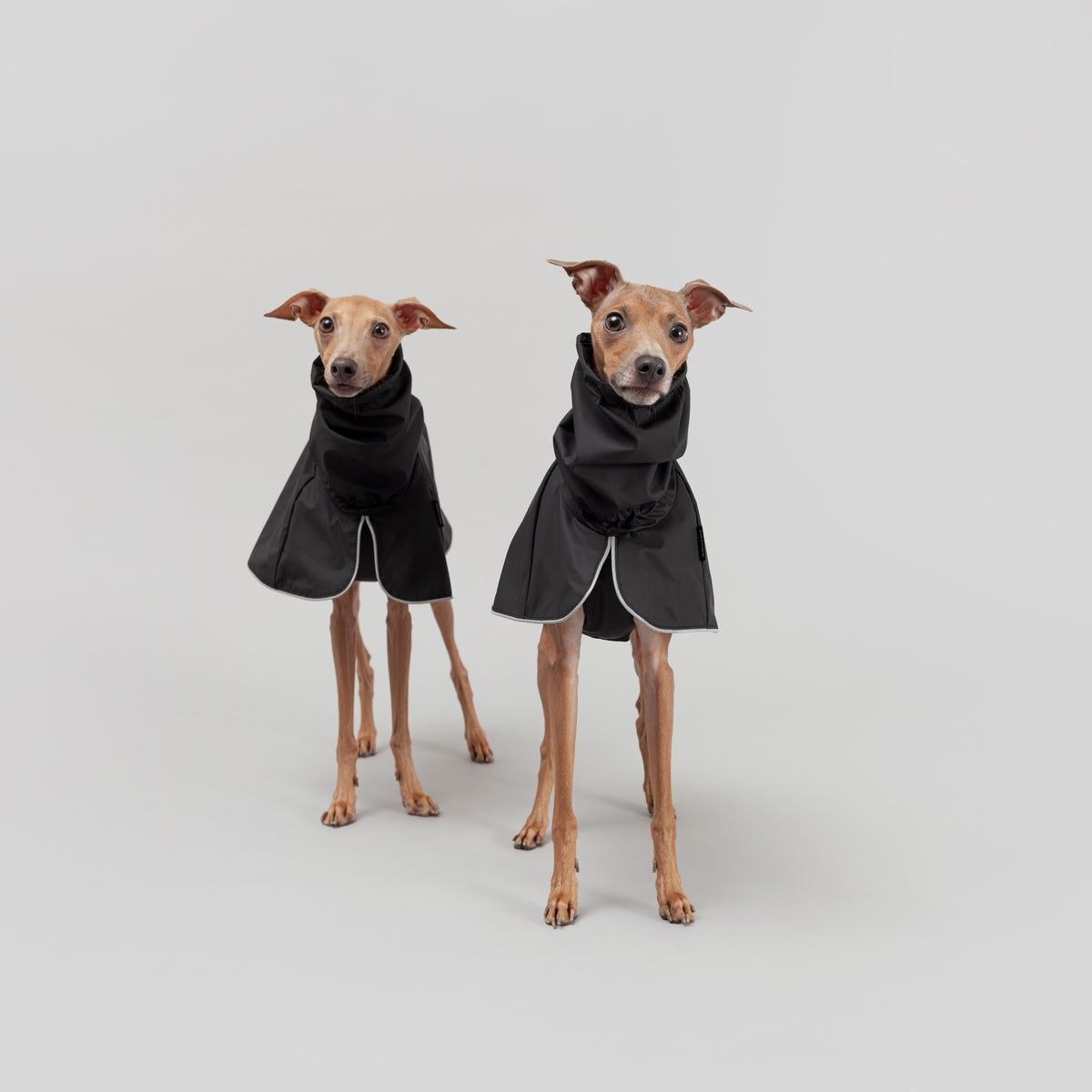 Greyhound apparel outlet for humans
