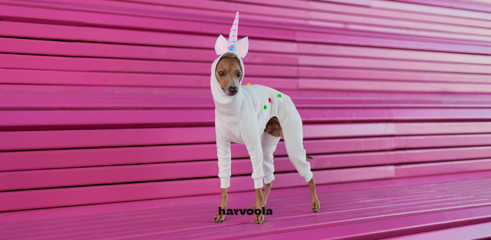 DIY Dog Unicorn Costume for Halloween +video – harvoola