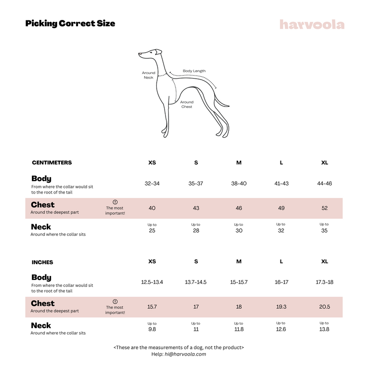 italian greyhound choting size chart