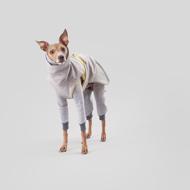 italiangreyhound winter clothes