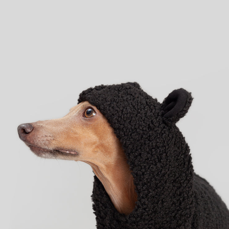black teddy bear vest for italian greyhound