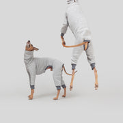 grey italian greyhound onesie