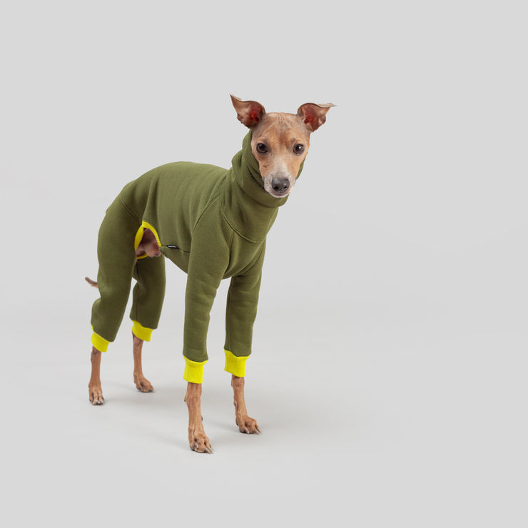 italian greyhound jumpsuit green khaki