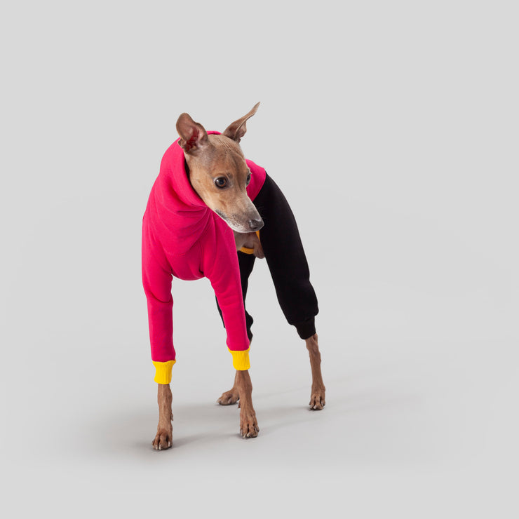 italian greyhound onesie