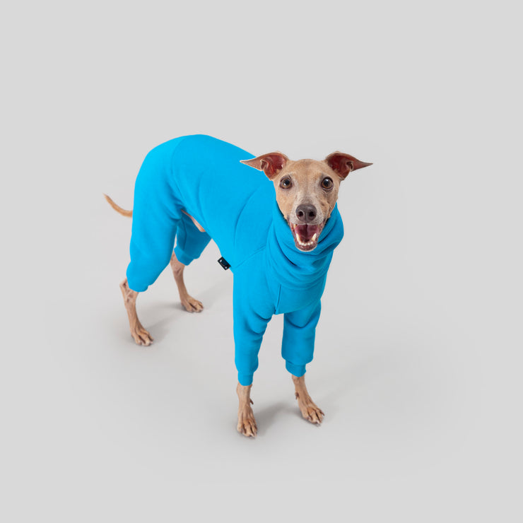 italian greyhound blue onesie