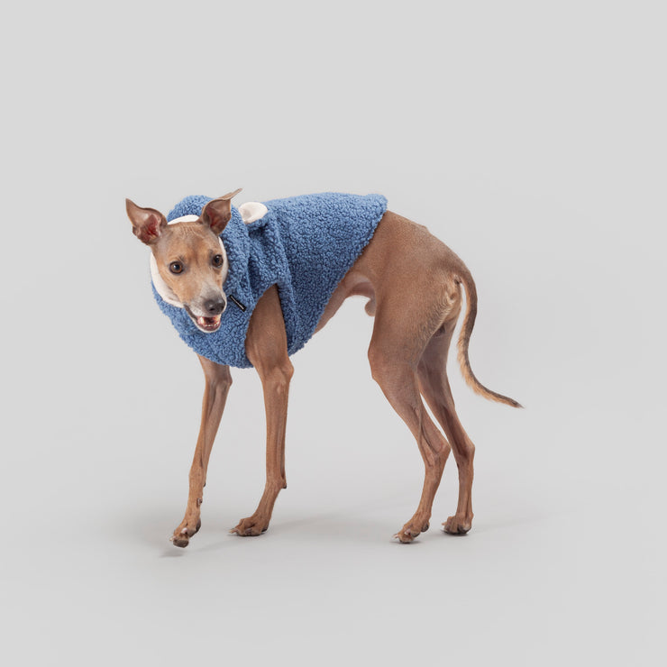 teddy bear vest for italian greyhounds