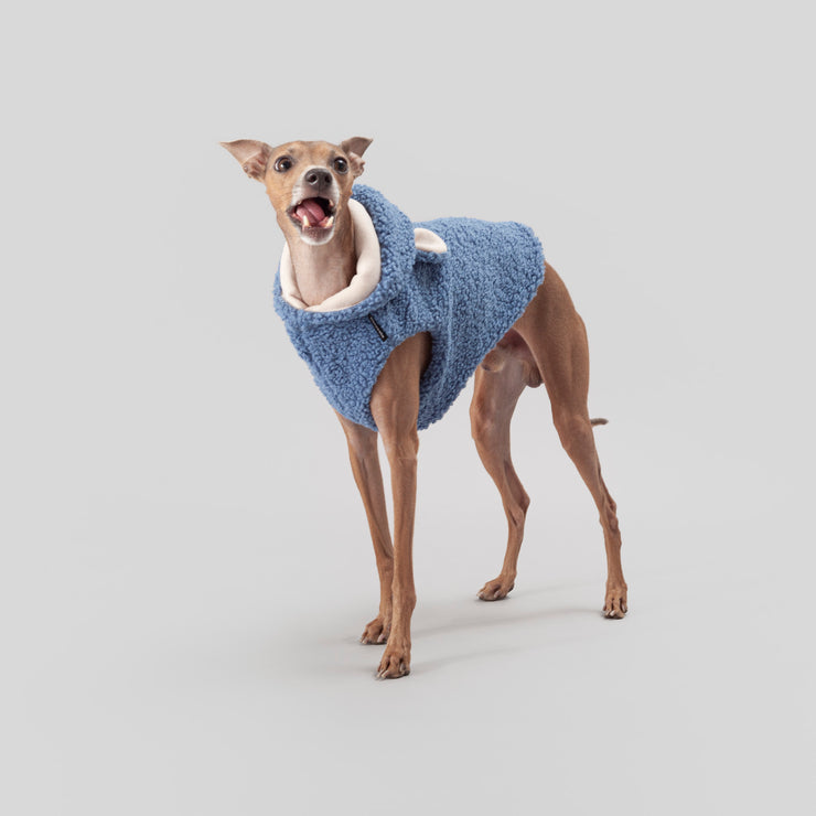 teddy bear vest for italian greyhounds