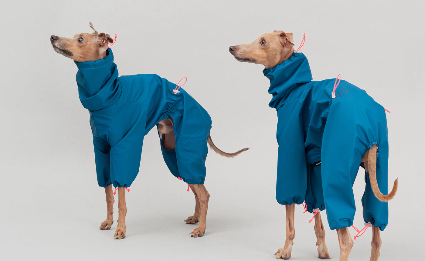 waterproof overalls for italian greyhounds