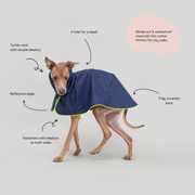Raincoat for italian greyhounds waterproof