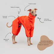 italian greyhound raincoat winter wear