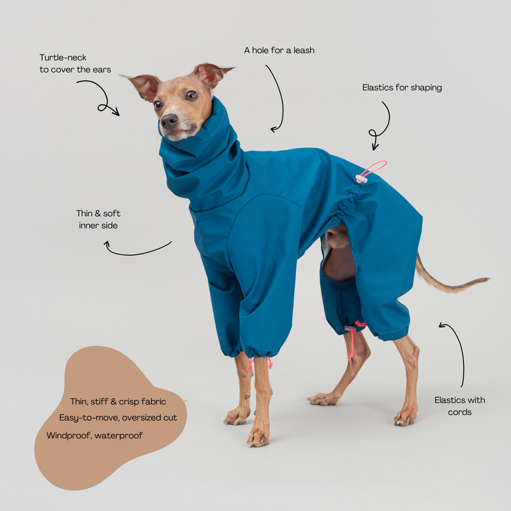 italian greyhound outfit descriptions 