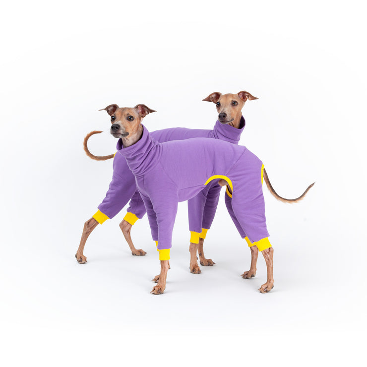 italian greyhound lilac onesie