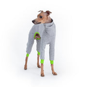 dog jumpsuit for greyhounds