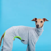 stylish italian geryhound jumpsuit