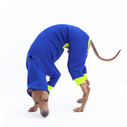 italian greyhound jumpsuit