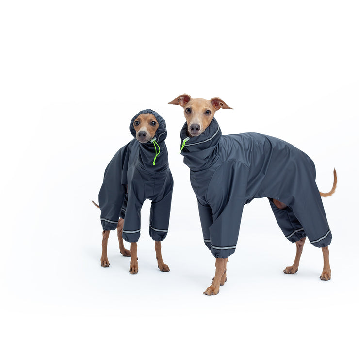 italian greyhound raincoat waterproof reflective details extra safe and comfortable