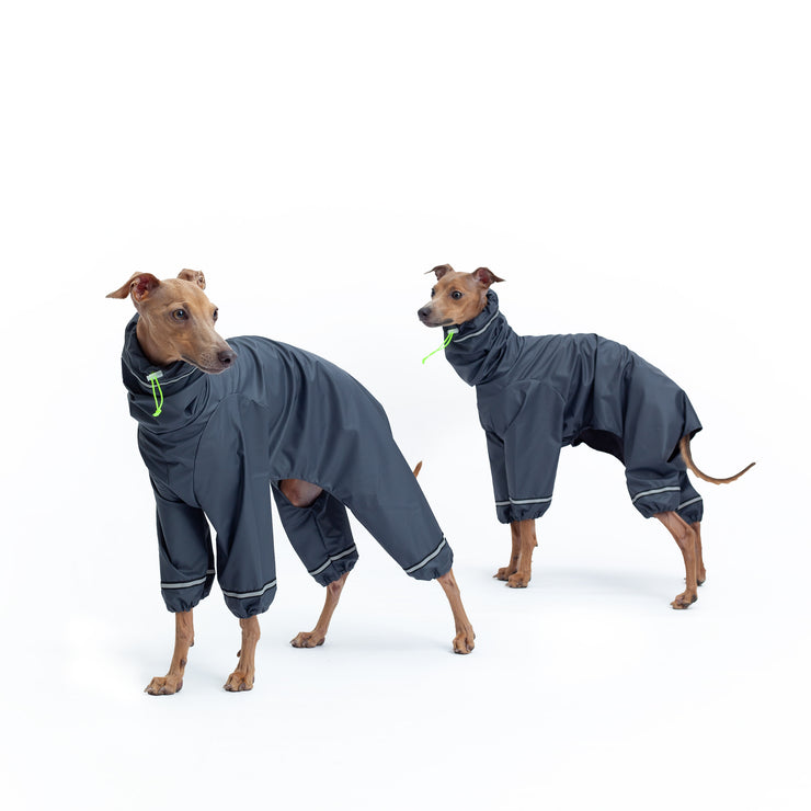 italian greyhound coverall raincoat waterproof