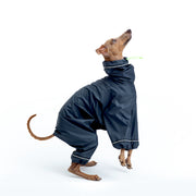 italian greyhound raincoat waterproof