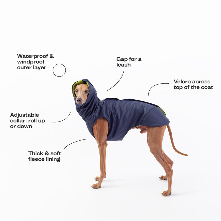 italian greyhound winter coat features fleece and waterproof material and hole for a leash