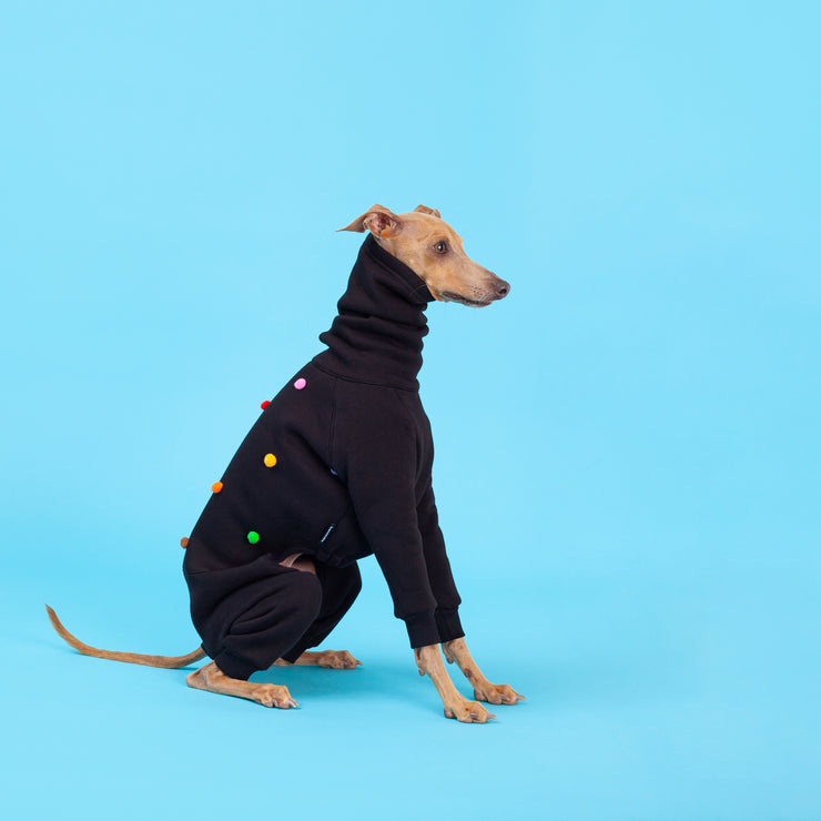 italian greyhound jumpsuit with sewn on pompoms