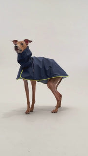 italian greyhound raincoat pink with reflective details