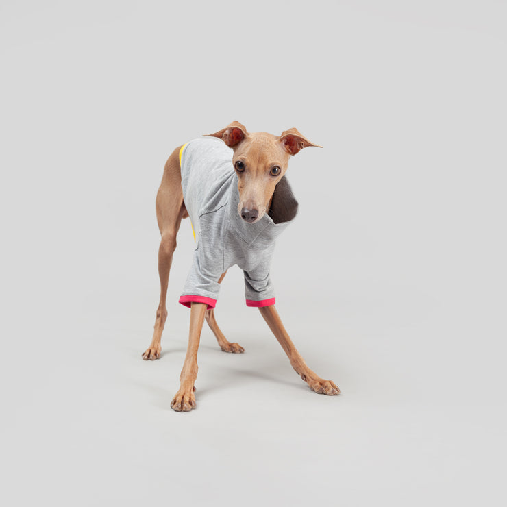 italian greyhound shirt handmade