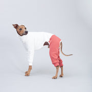 iggy dog jumpsuit colorful minimal design