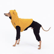 italian greyhound teddy bear vest