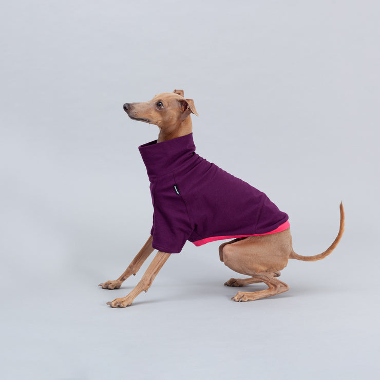 italian greyhound shirt