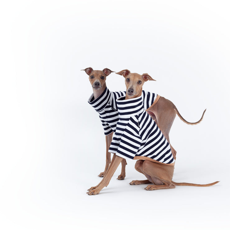 italian greyhound shirt french style striped sailor outfit