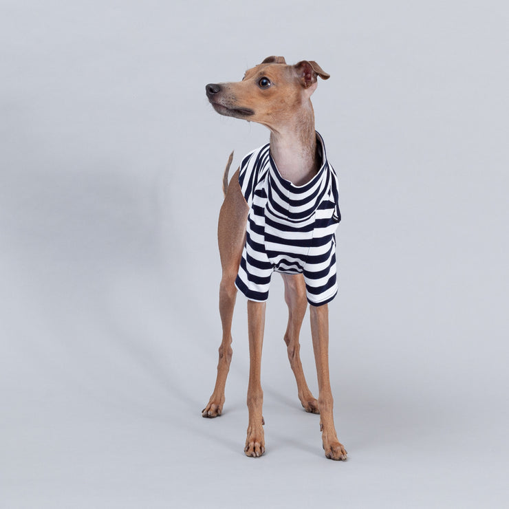 italian greyhound handmade shirt striped