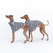 italian greyhound handmade shirt short sleeves summer wear