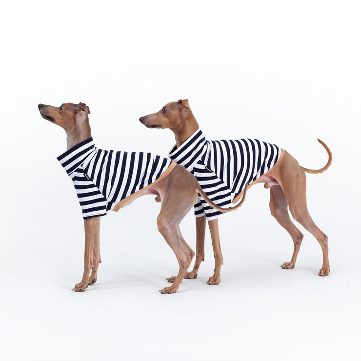 italian greyhound handmade shirt short sleeves summer wear