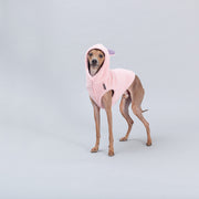 italian greyhound teddybear vest pink
