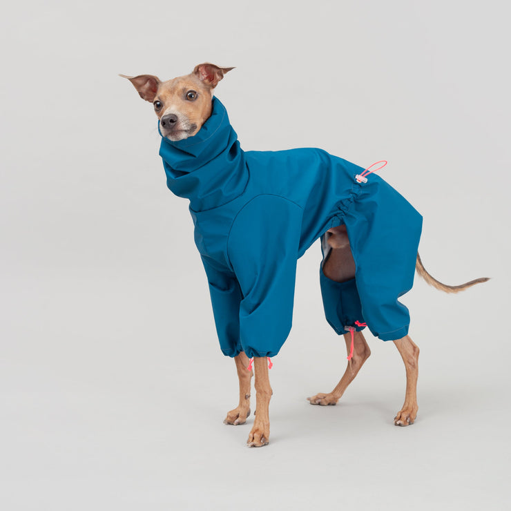 italian greyhound clothing blue overall waterproof