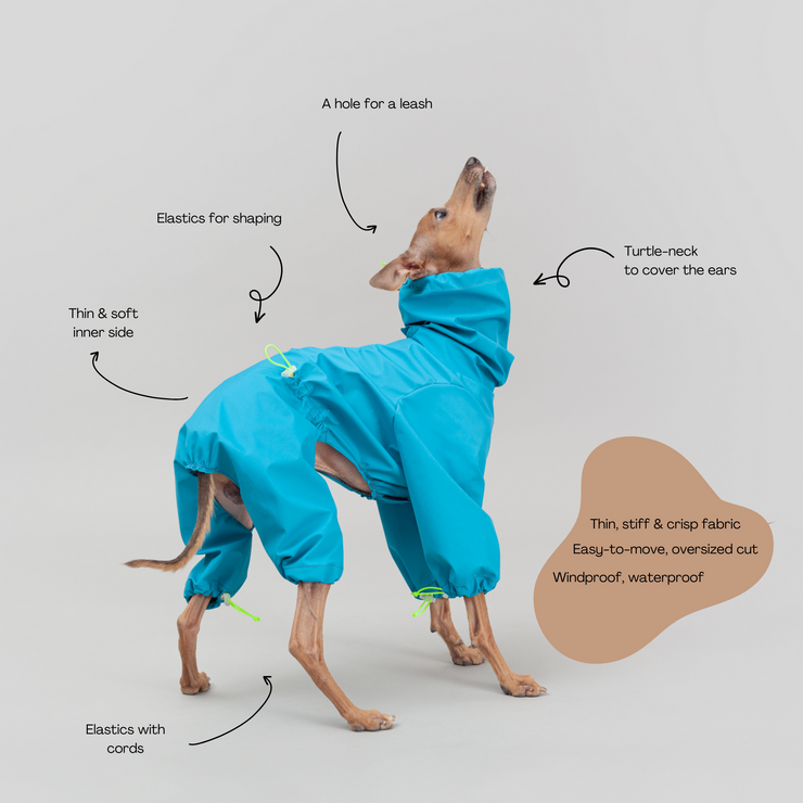italian greyhound winter clothes waterproof outfit