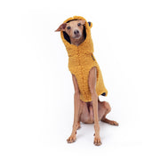 cute italian greyhound clothing teddy bear vest with bear ears