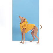 italian greyhound teddy bear vest lovely dog clothing