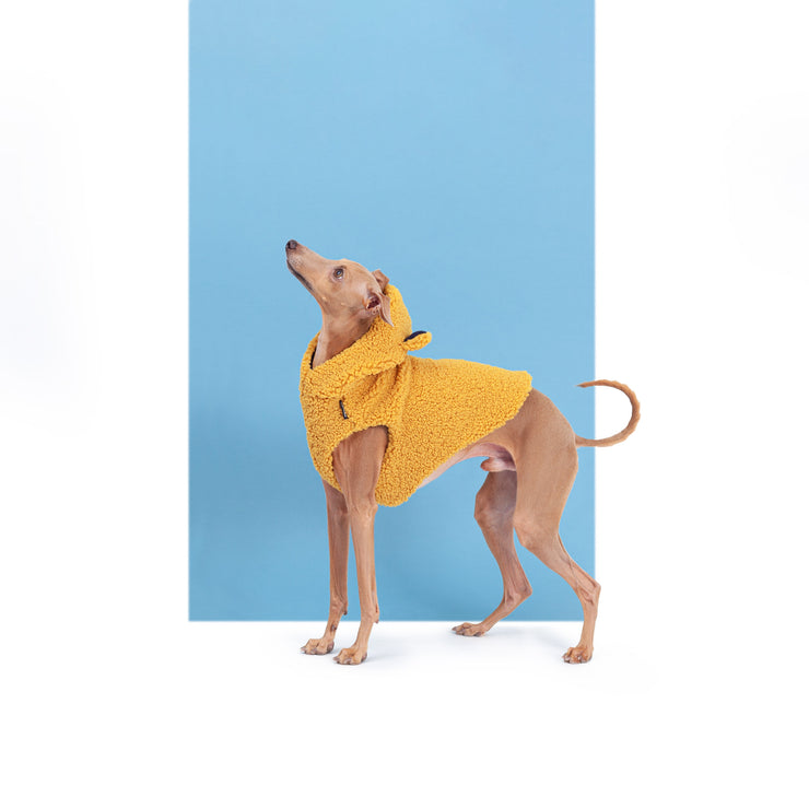 italian greyhound teddy bear vest lovely dog clothing