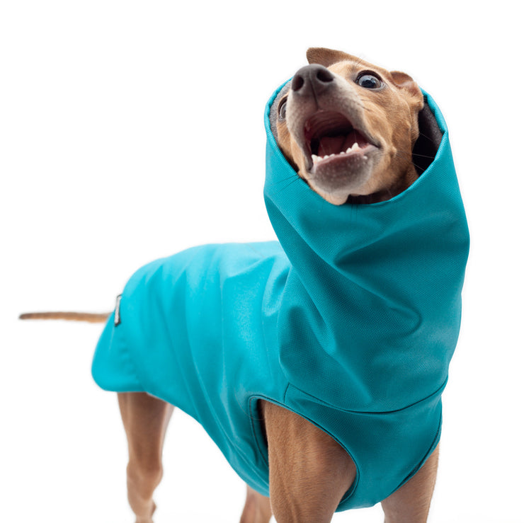winter coat for italian greyhound