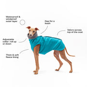 winter coat for italian greyhound