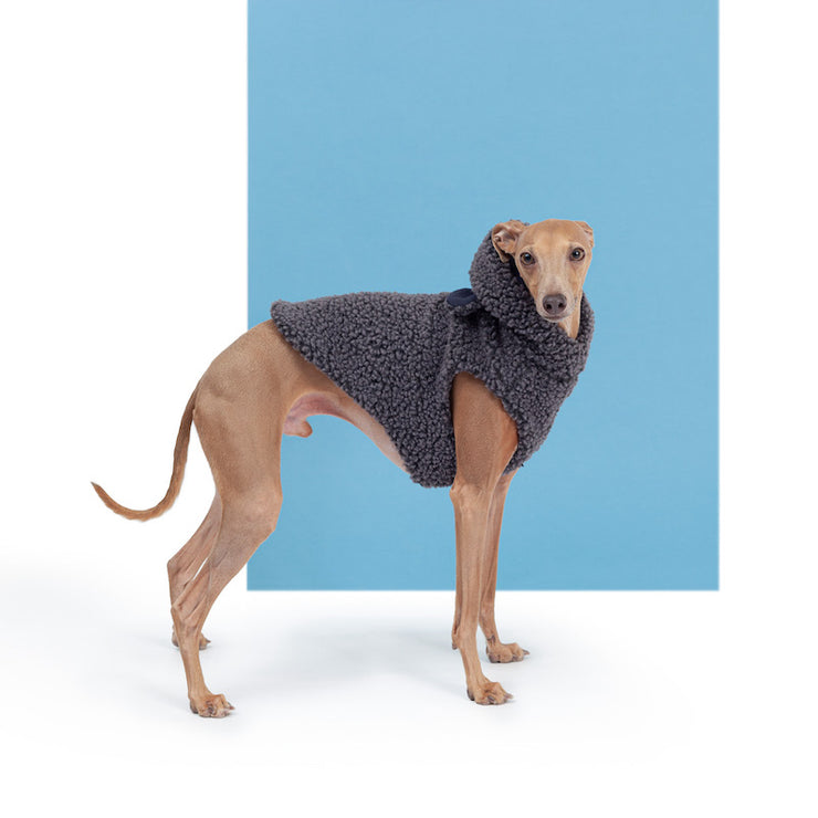 italian greyhound warm winter vest