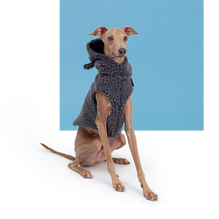 italian greyhound warm vest